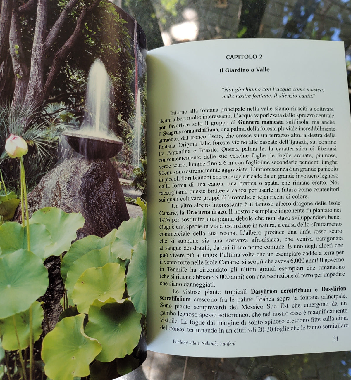 La Mortella - Il libro del giardino di Susana Walton