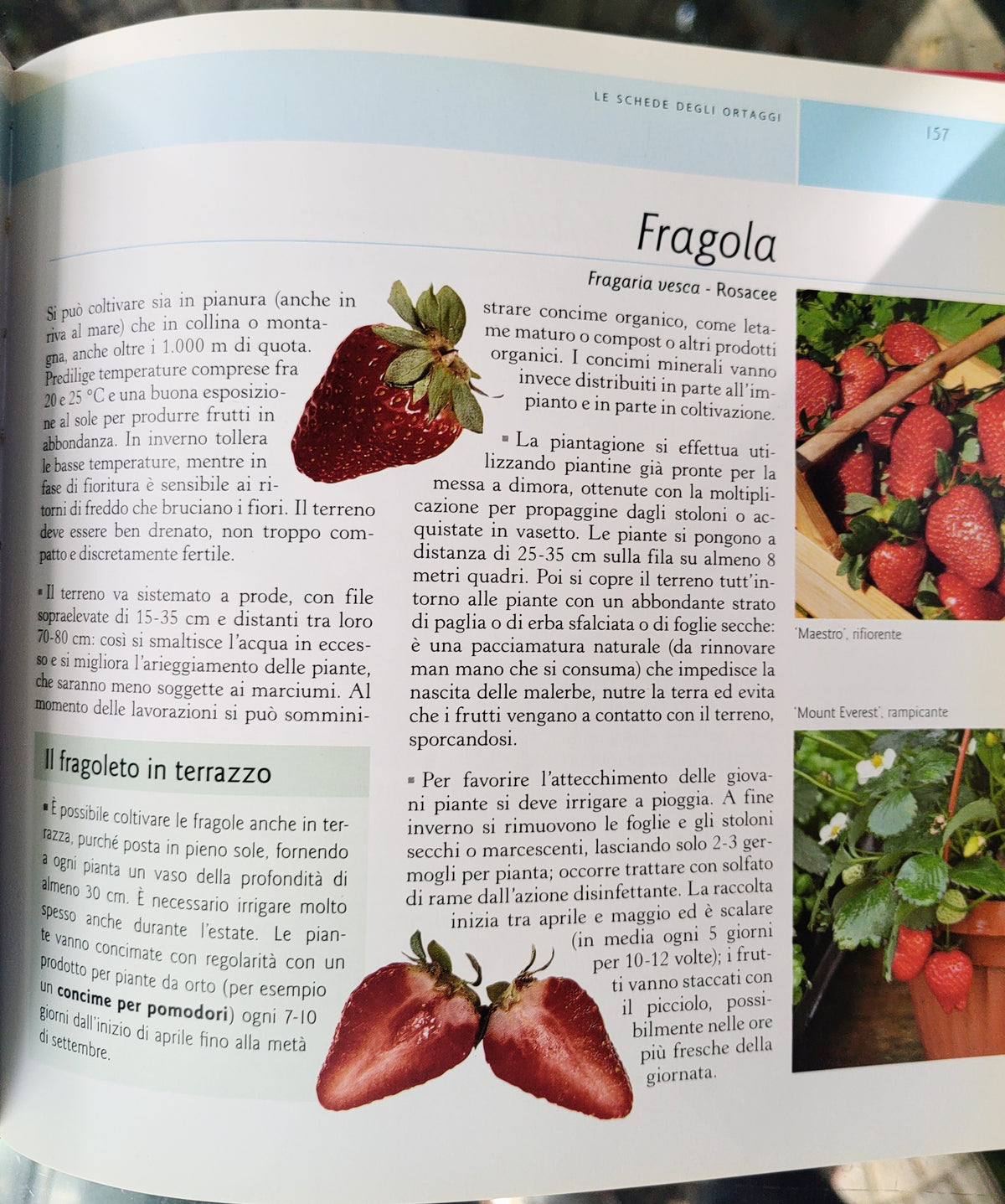 Bio a Km zero - coltivare frutta e ortaggi genuini direttamente a casa tua