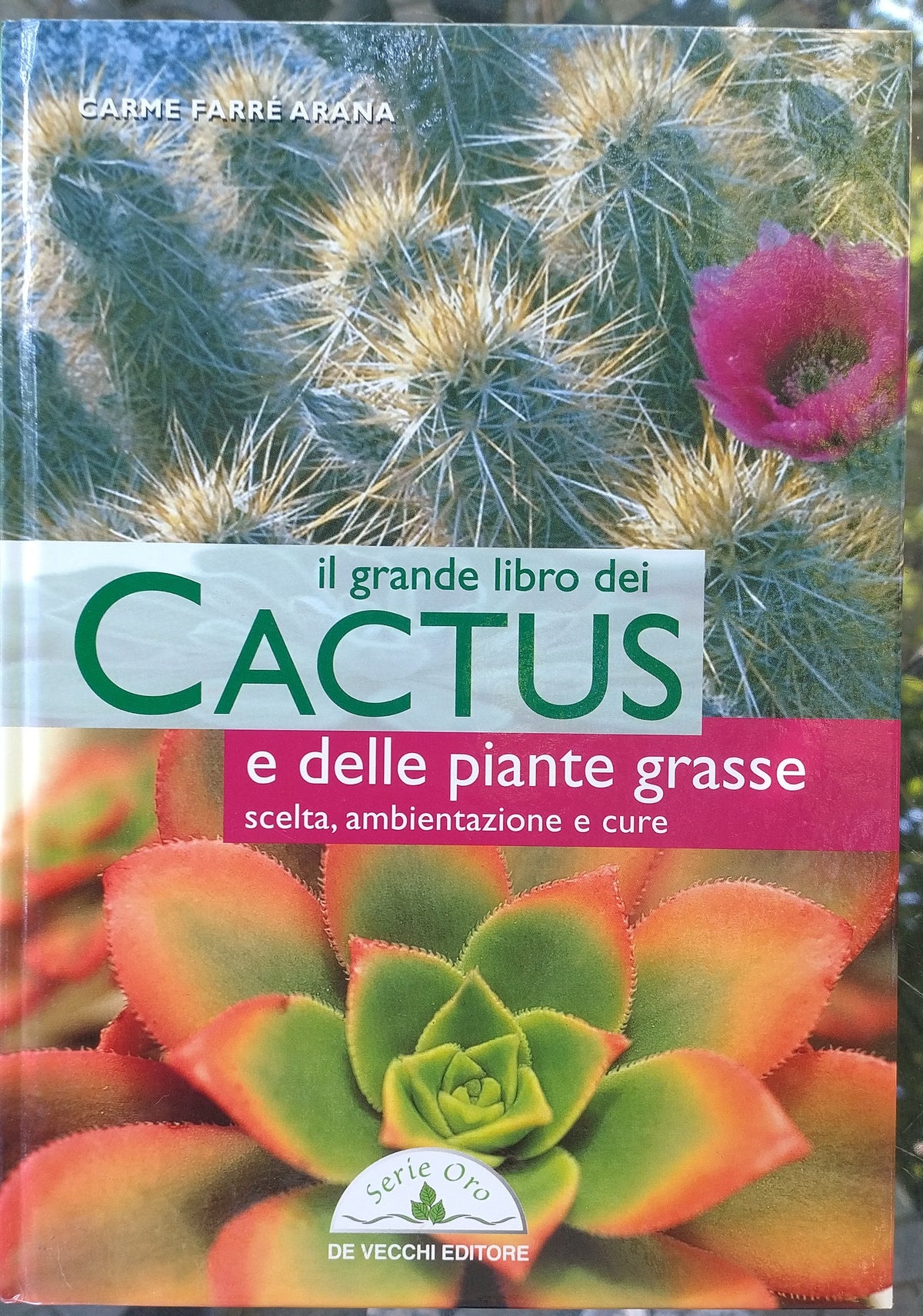 Il grande libro dei Cactus e delle piante grasse scelta, ambientazione e cure