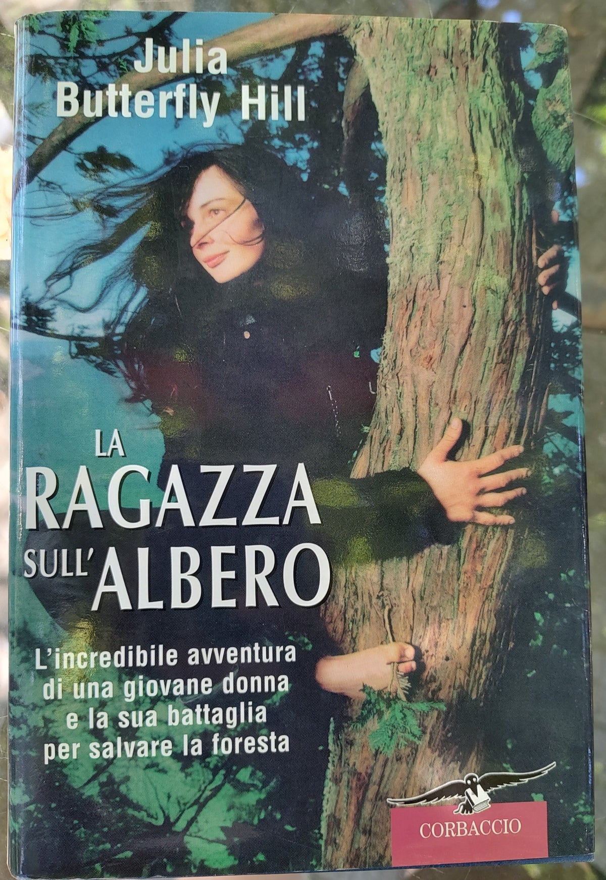 La ragazza sull'albero