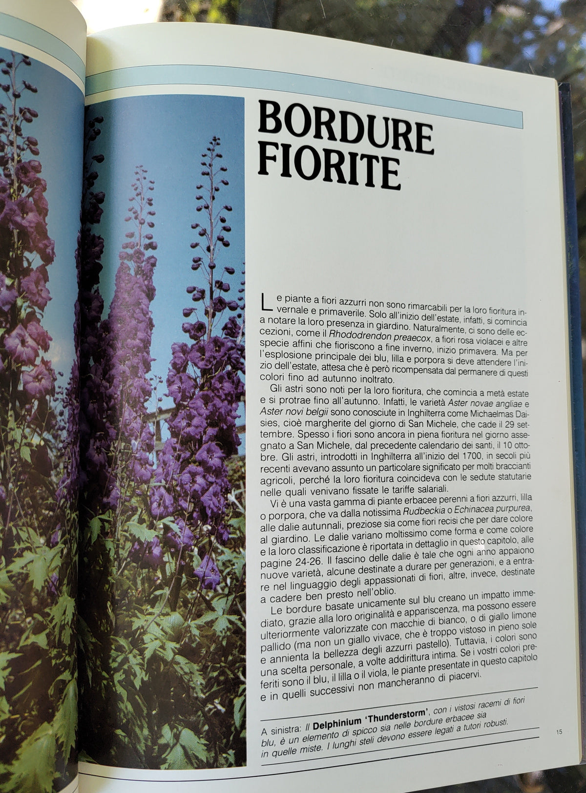 Blu e porpora