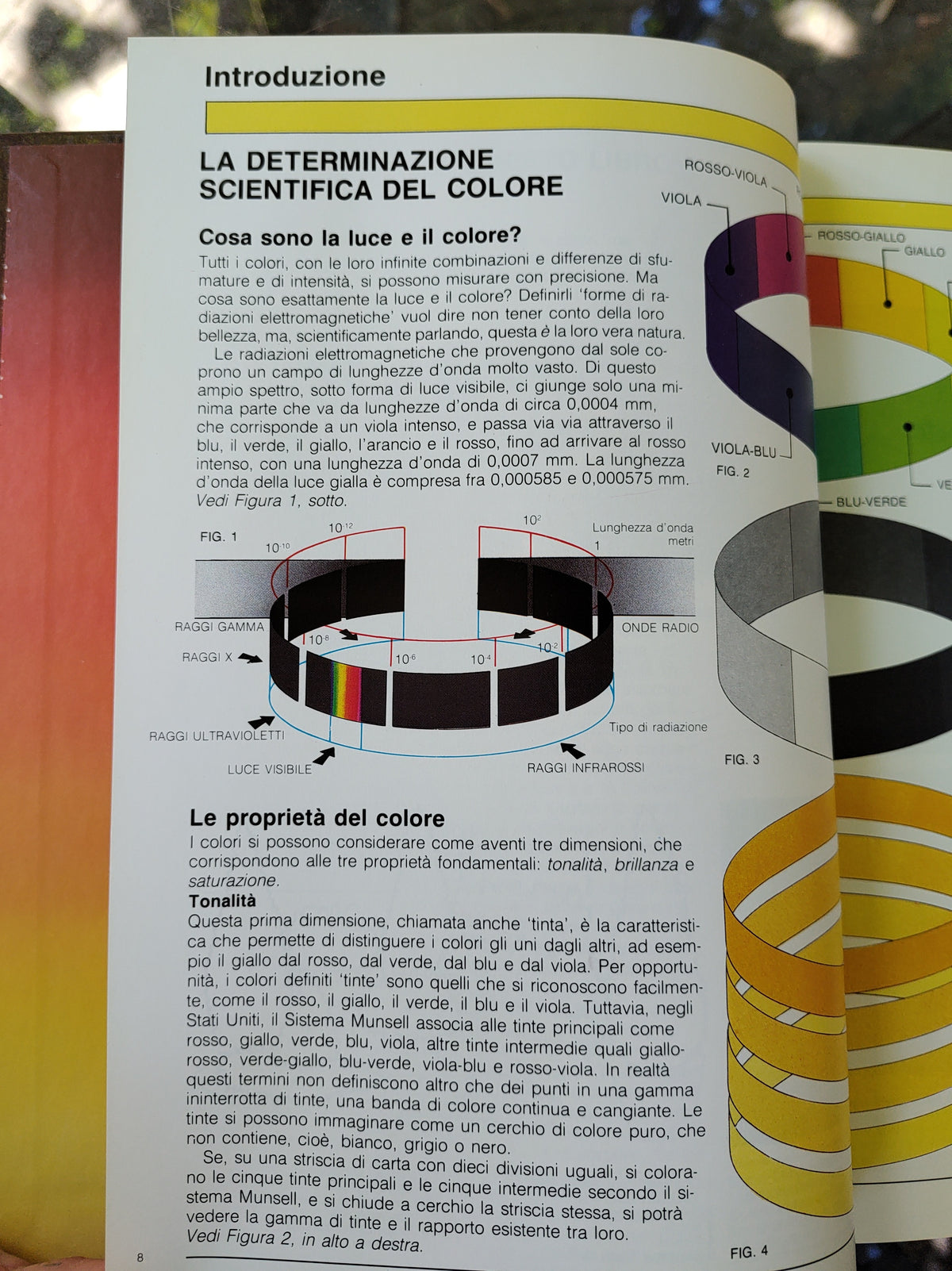 Oro e giallo