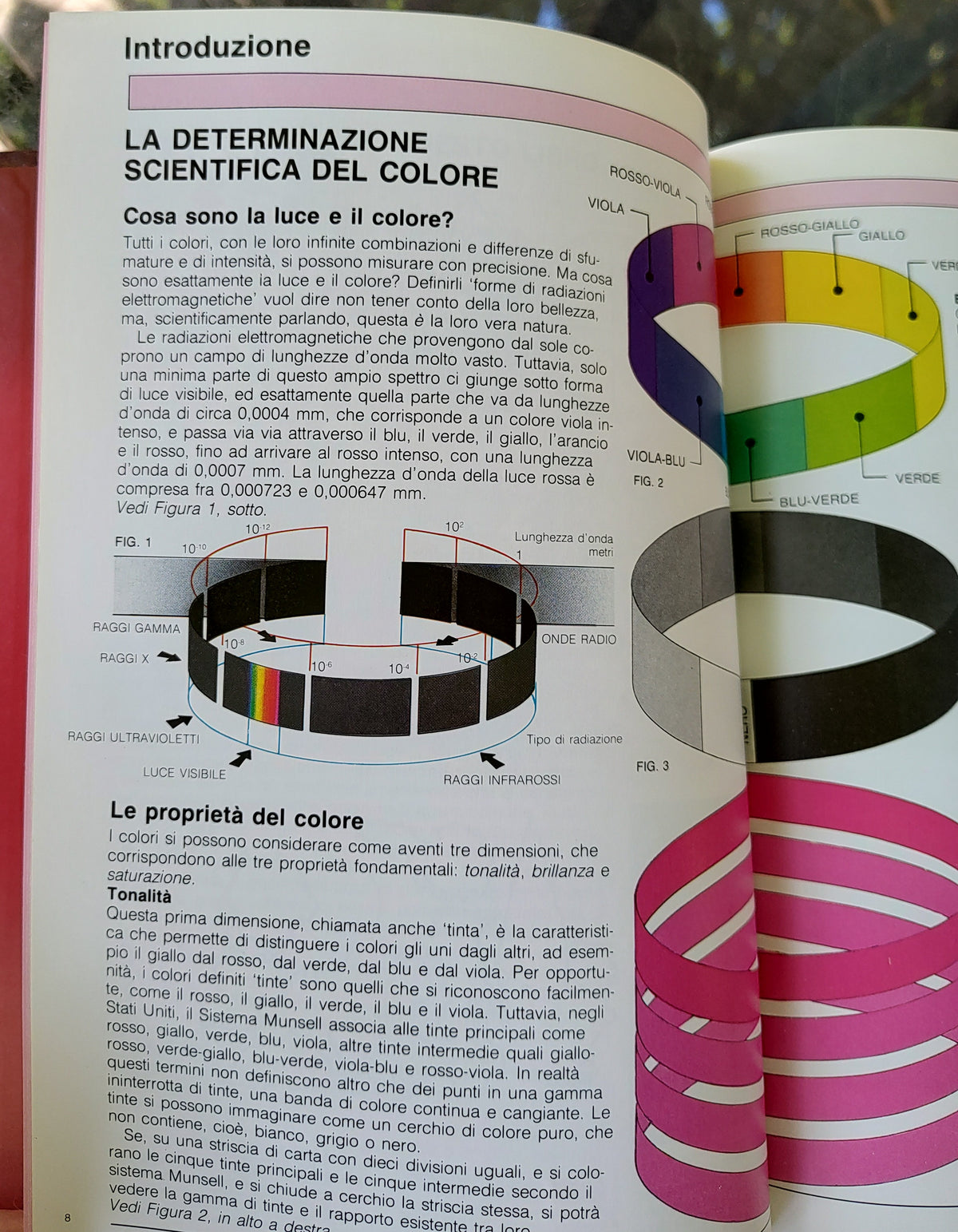 Rosso e rosa