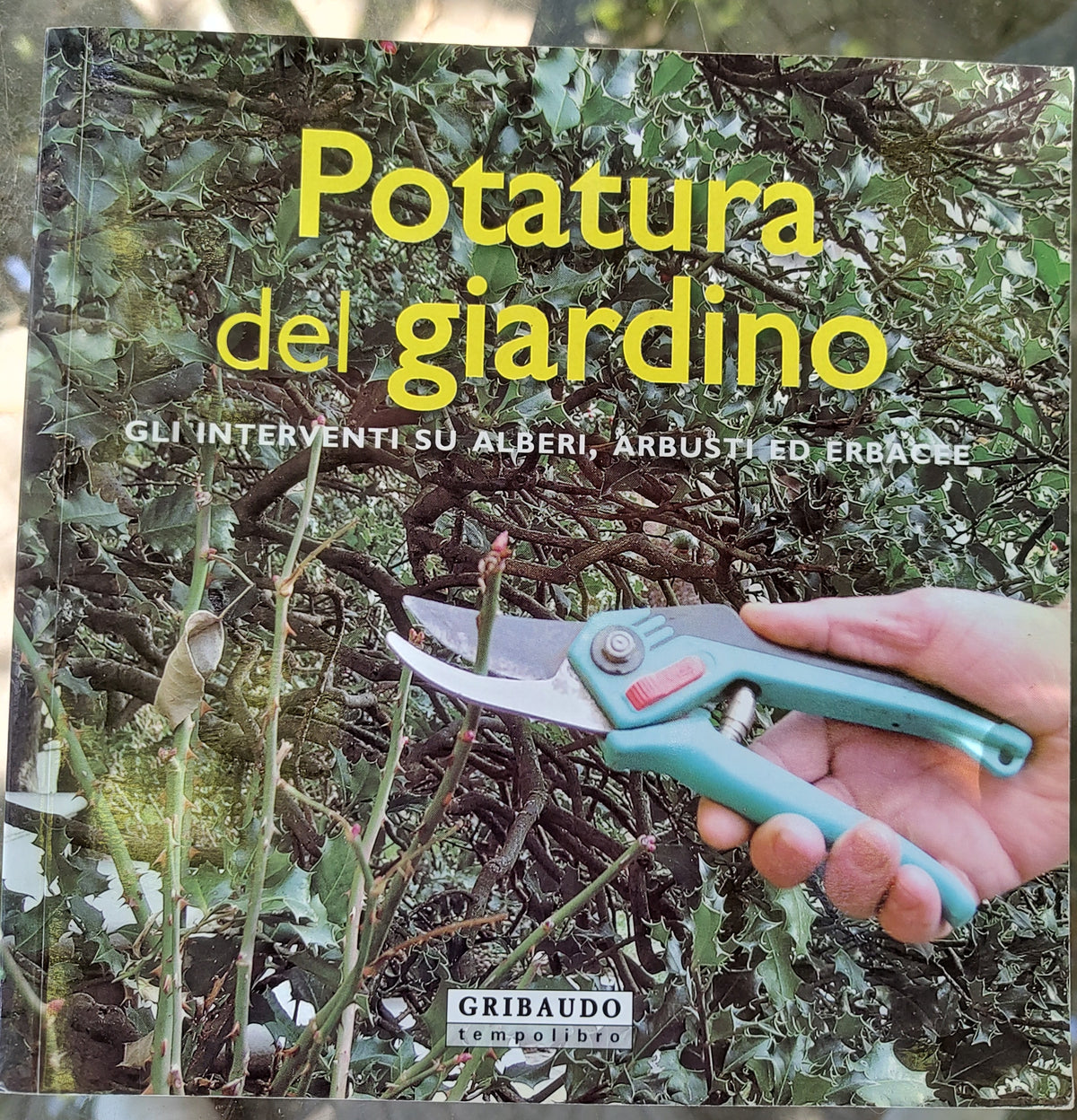 Potatura del giardino