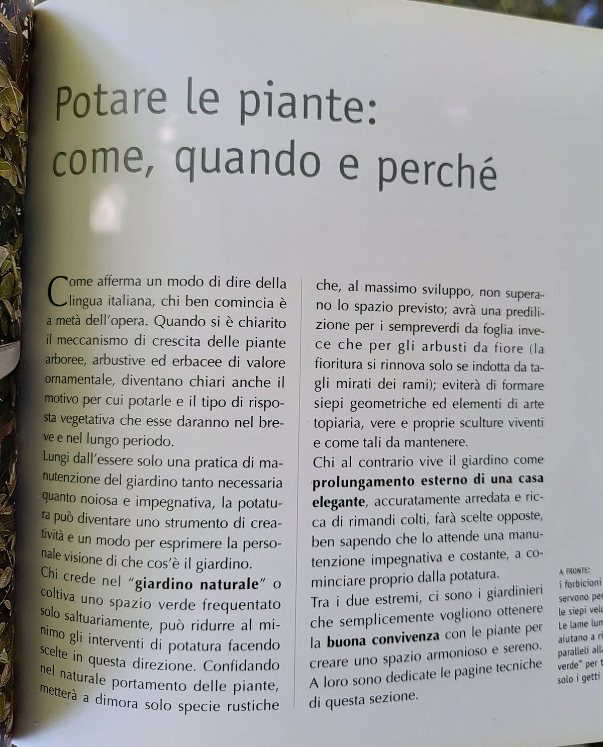 Potatura del giardino