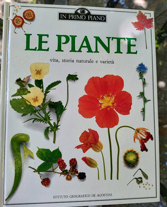 Le piante
