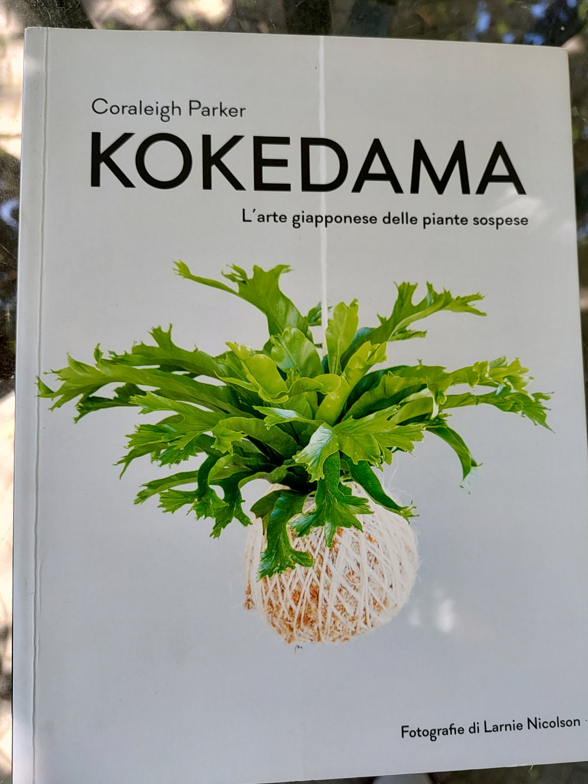 Kokedama - L'arte giapponese delle piante sospese