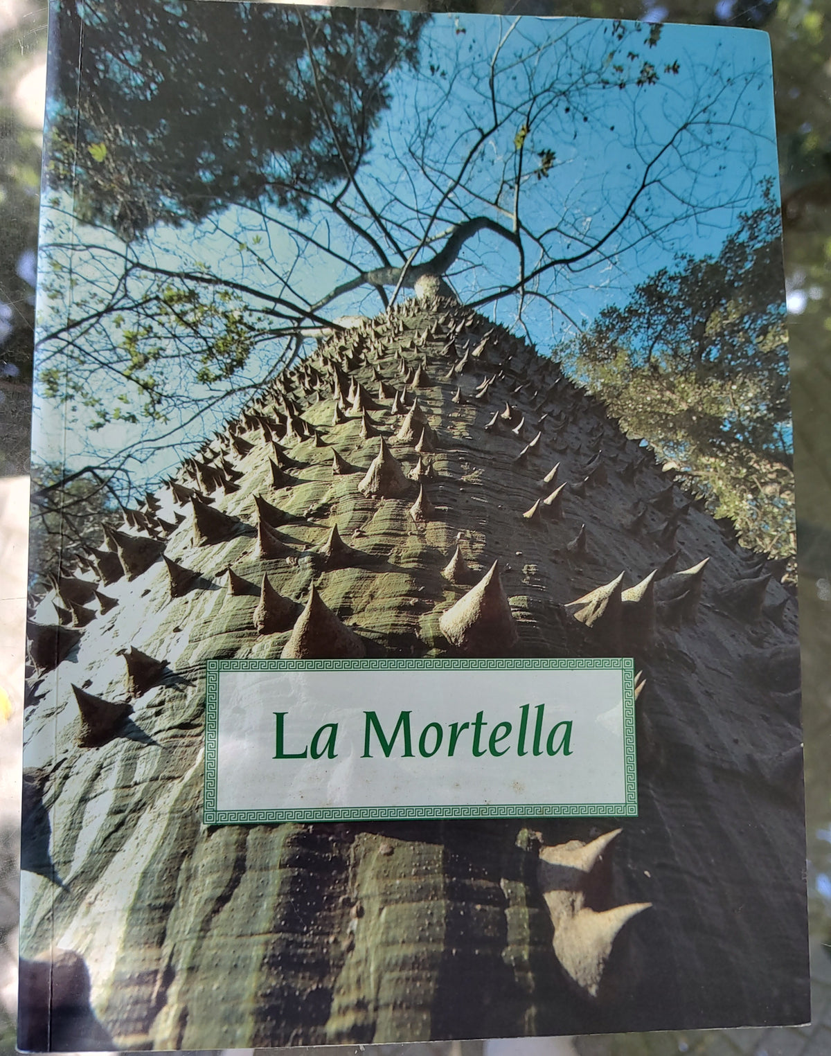 La Mortella - Il libro del giardino di Susana Walton