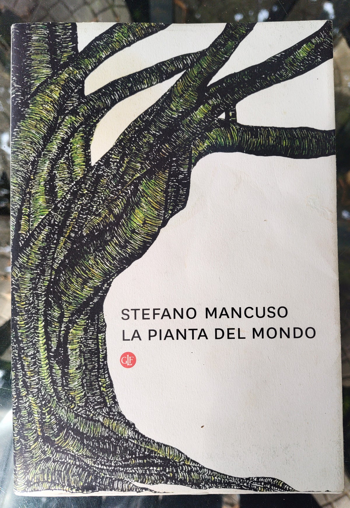 La pianta del mondo