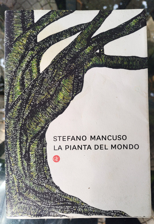 La pianta del mondo