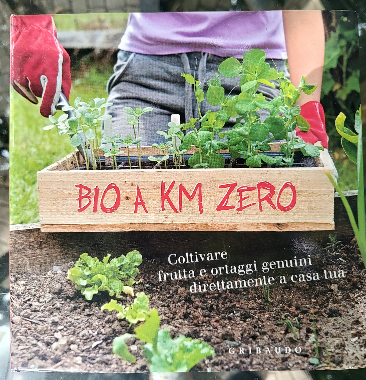 Bio a Km zero - coltivare frutta e ortaggi genuini direttamente a casa tua
