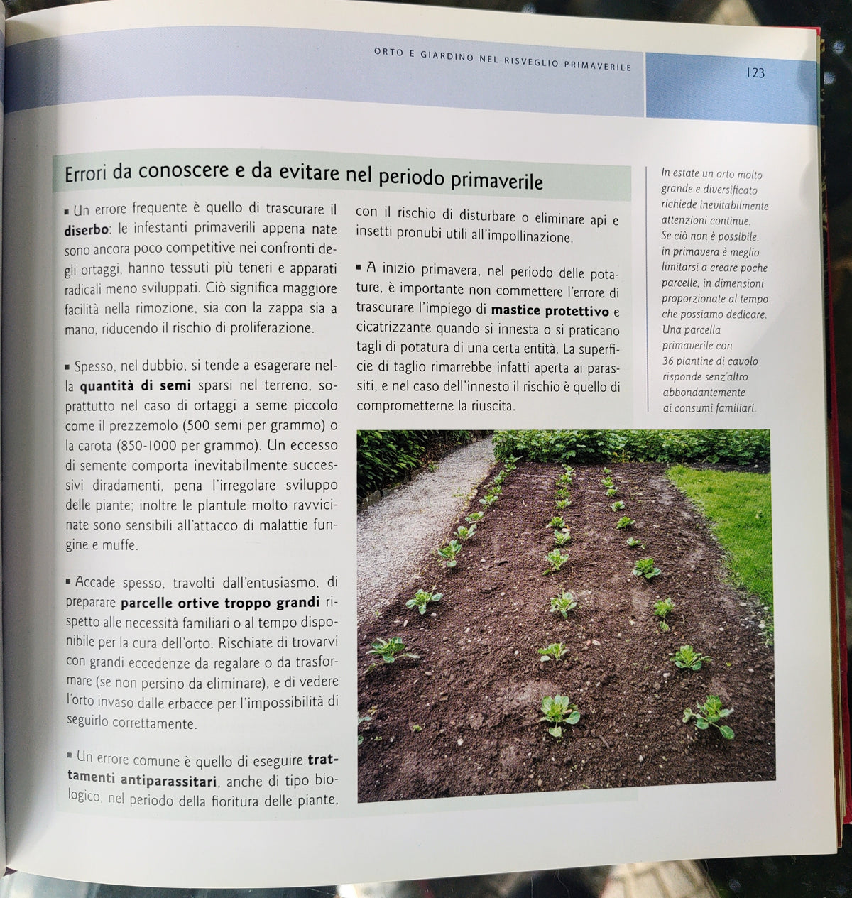 Bio a Km zero - coltivare frutta e ortaggi genuini direttamente a casa tua