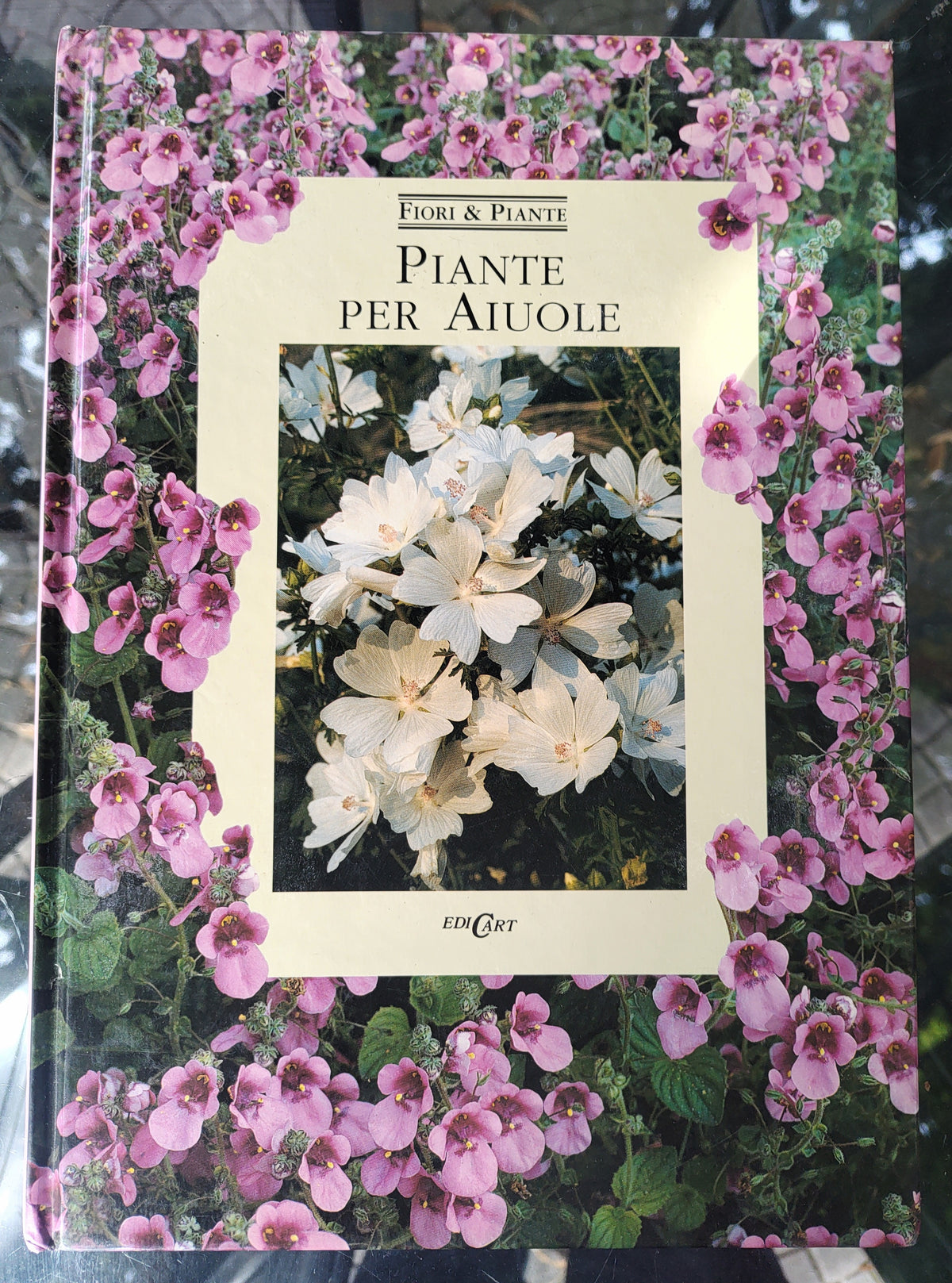 Piante per aiuole