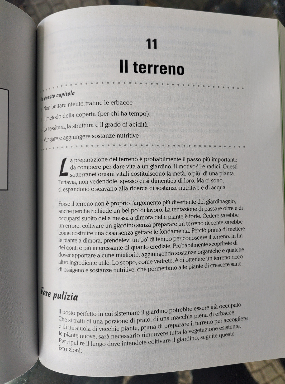 Giardinaggio per negati