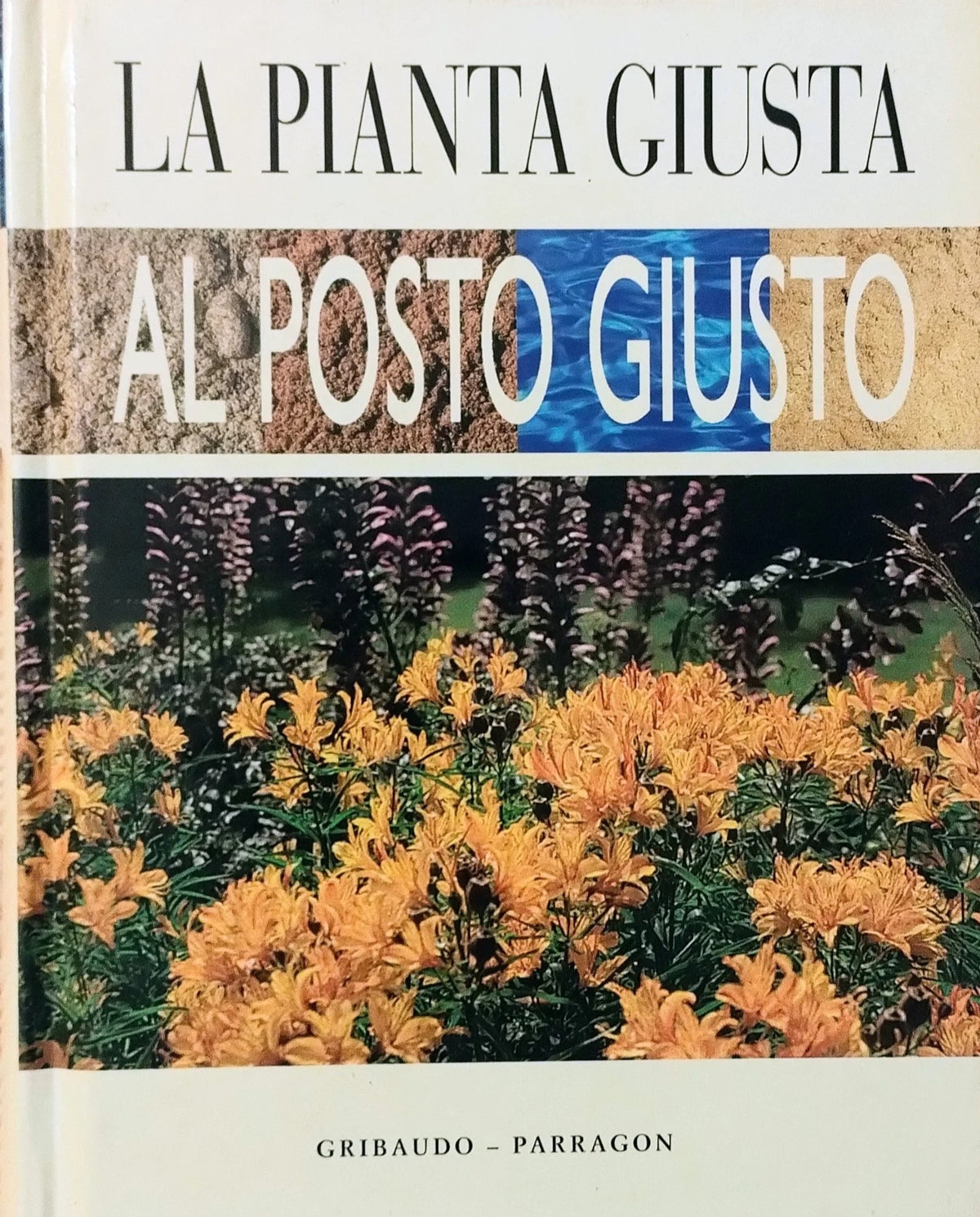 La pianta giusta al posto giusto
