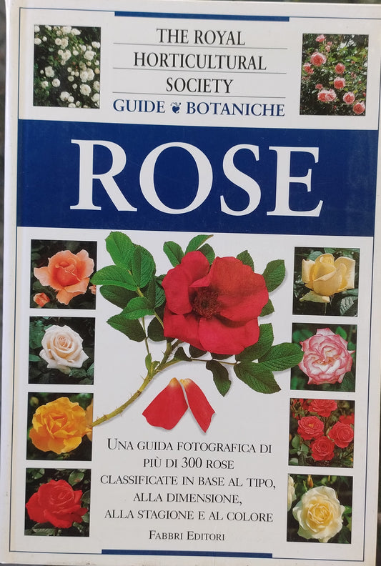 Rose RHS