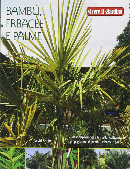 Bambù, erbacee e palme | David Squire