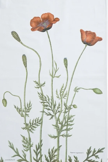 Canovaccio botanico in cotone biologico