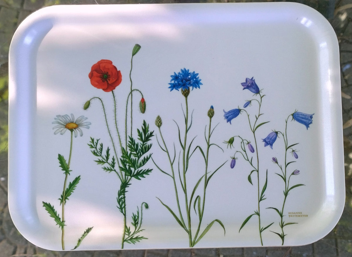 Vassoio 20x27  fiori di campo